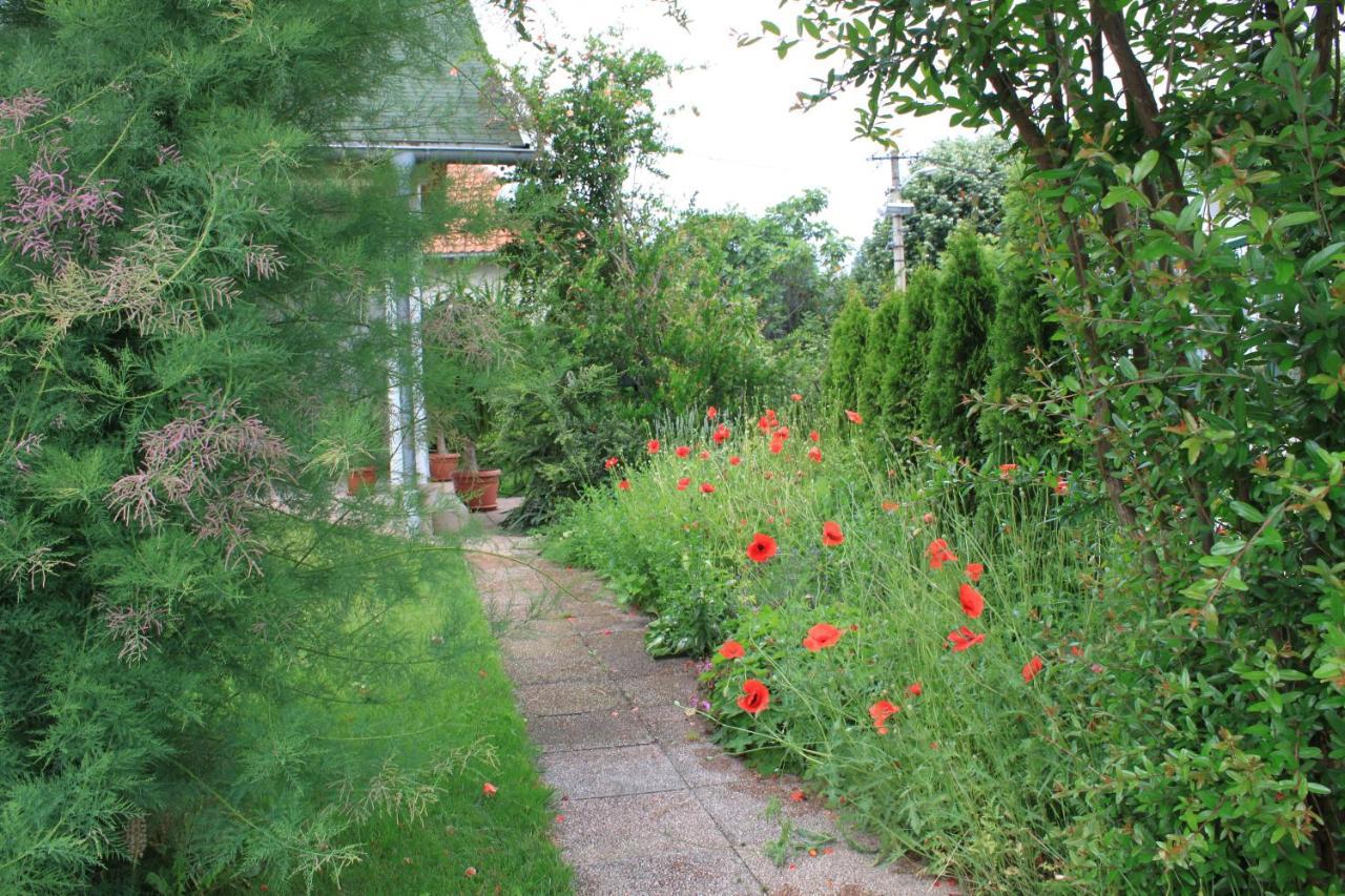 Boulevard Garden House - Free And Save Parking In The Locked Yard Ćuprija מראה חיצוני תמונה